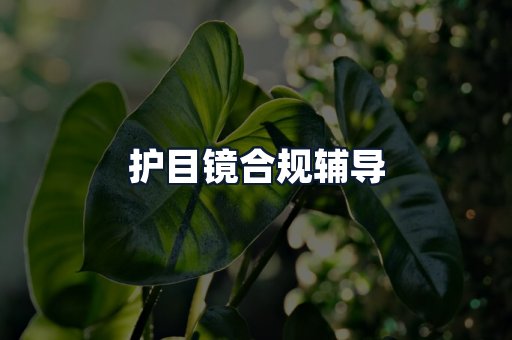 护目镜合规辅导