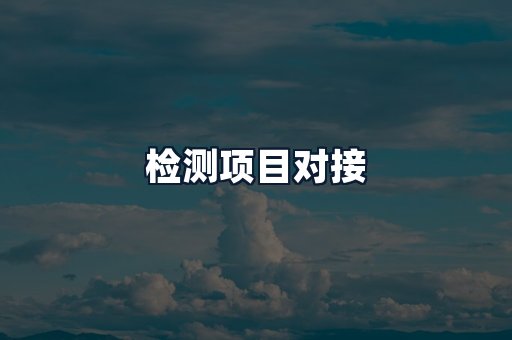 检测项目对接